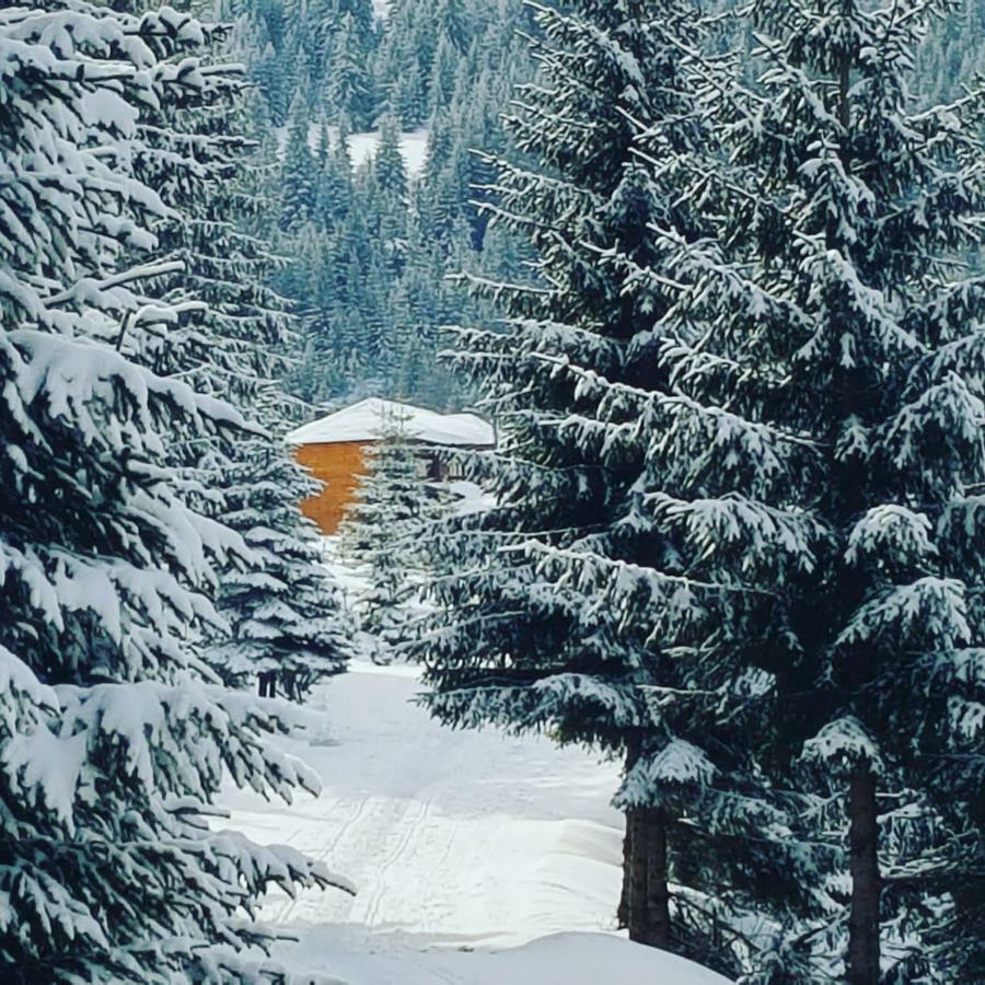 Resort Skrivena Berane Exterior photo